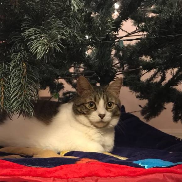 Meet your Posher, Annette - Picture 1 of 1